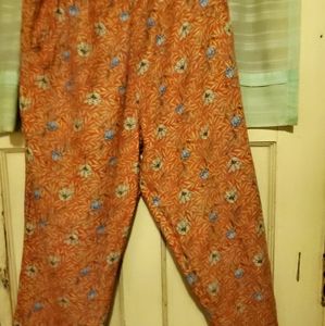 FLAX 2002 De Soleil floods M